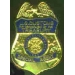 UNITED STATES DEPARTMENT OF THE TREASURY CUSTOMS SPECIAL AGENT BADGE PIN